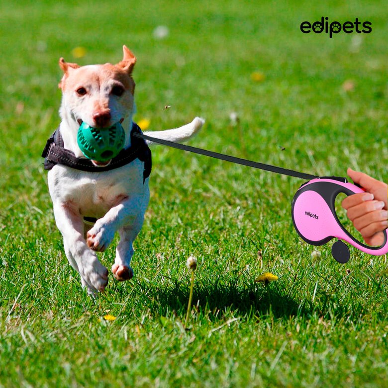 Edipets correa extensible con sistema de frenado rosa para perros, , large image number null