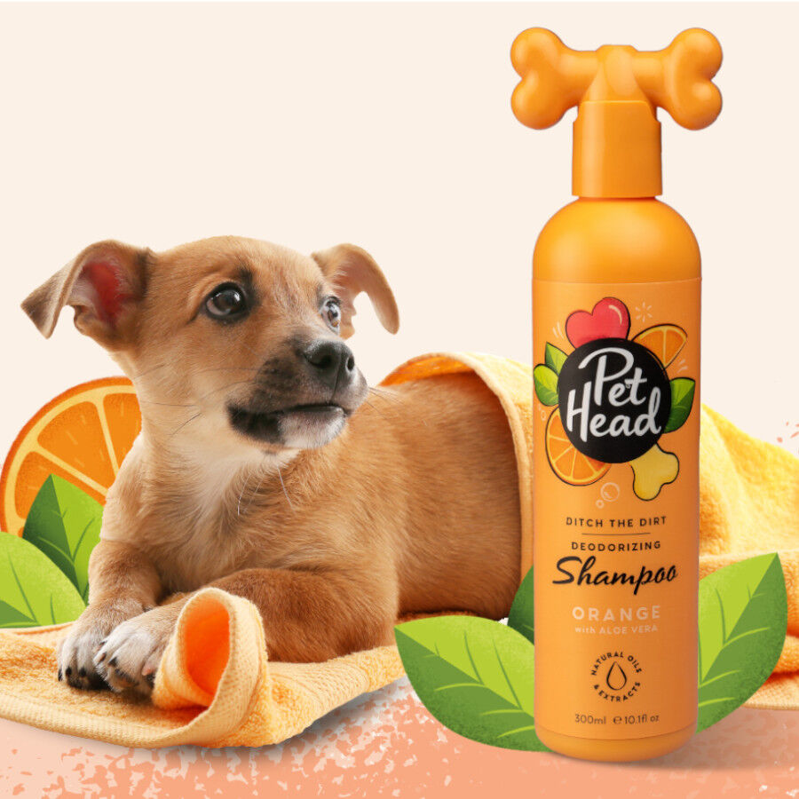 Pet Head champ&uacute; desodorante de naranja para perros, , large Imagen numero 2