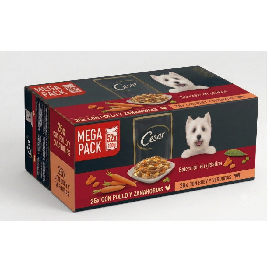 52 sobres x 100 g Cesar Selecci&oacute;n en Gelatina Pollo y Buey sobres para perros - Multipack, , large Imagen numero 1