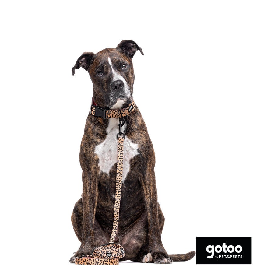 Gotoo Collar estampado leopardo para perros thumbnail