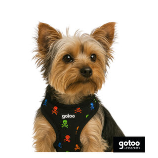 Gotoo Arnés ajustable estampado calavera negro para perros