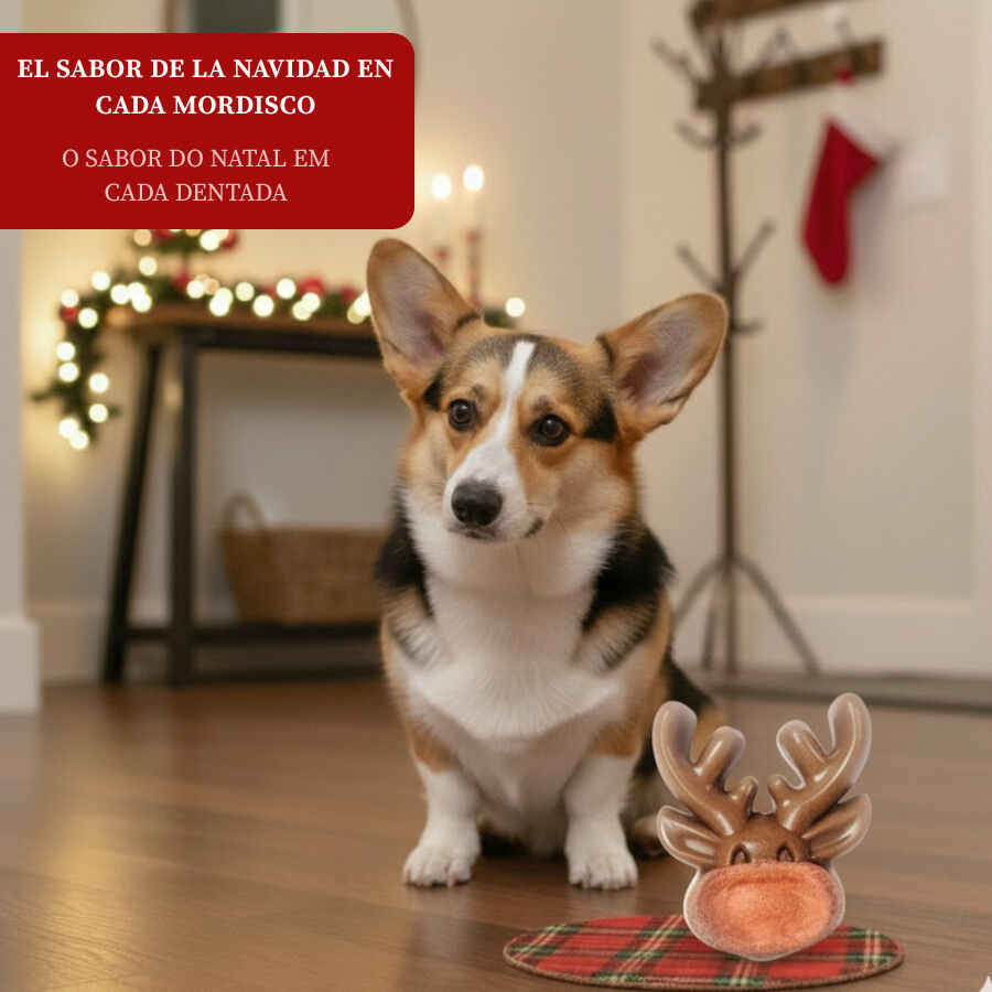 1 ud. Wonder Christmas Galleta Reno Navide&ntilde;a para perros, , large Imagen numero 4