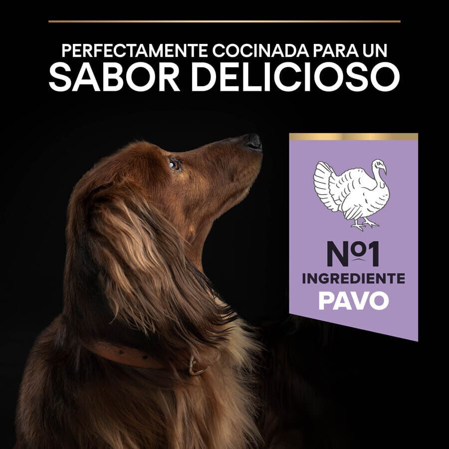 2.5 kg Pro Plan Adult Small y Mini Digesti&oacute;n Pavo pienso para perros, , large Imagen numero 7