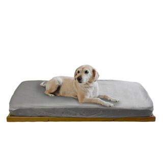 COOL · DREAMS PETS Cama Throne con estructura somier elevado del suelo para mascotas