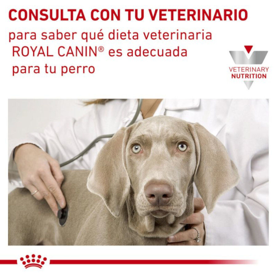Royal Canin Veterinary Sensitivity Control Mousse de Pollo y Arroz lata para perros thumbnail