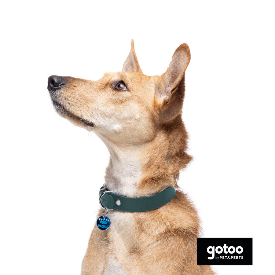 Gotoo Collar Biothane verde para perros, , large Imagen numero 6
