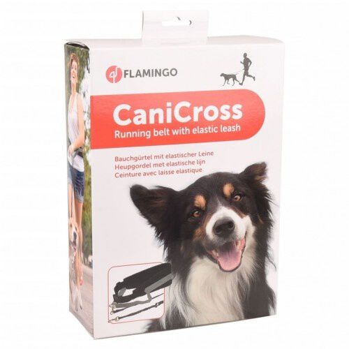 Correa para perros color Negro, , large Imagen numero 4
