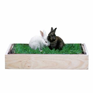 Petground Cama Caja de Madera para conejos