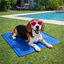 Summer Vibes Manta Refrescante Azul para perros, , large indicador imagen numero 1