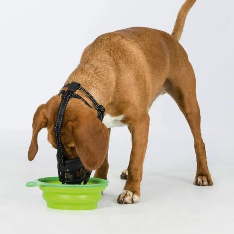 Bozal para perros color Negro thumbnail