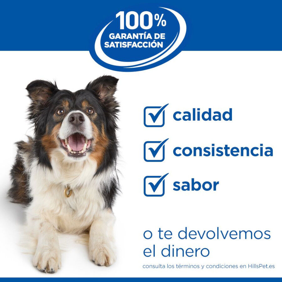 363 g Hill's Science Plan Adult Estofado con vacuno y verduras lata para perros, , large Imagen numero 7