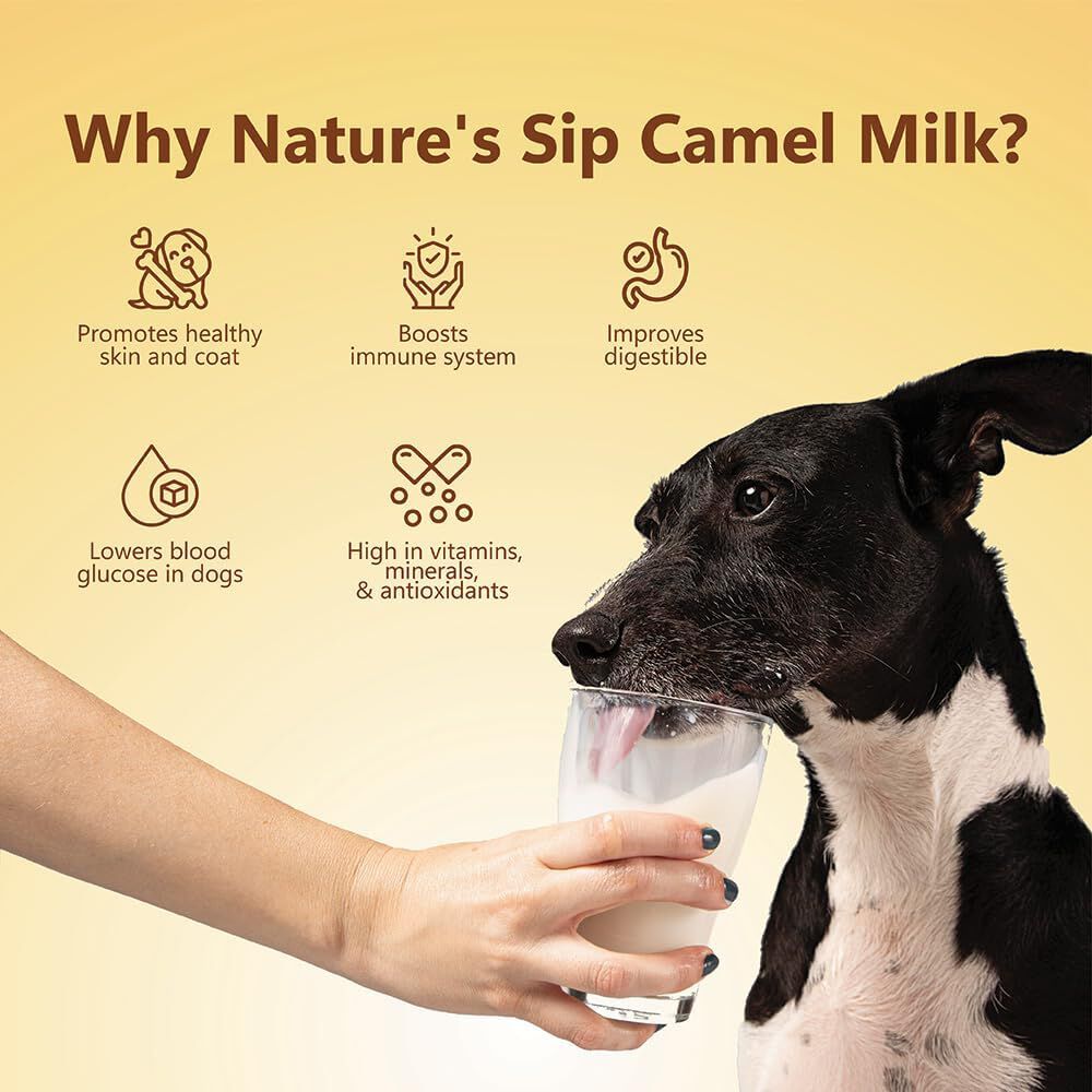 Nature's Sip para perros: 100 % leche de camello (150 g/5,29 oz), , large Imagen numero 4