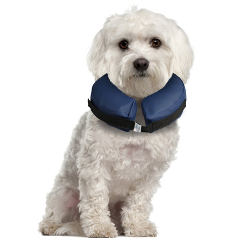 Inspeccionar orientación Respectivamente Karlie PetCare Collar Isabelino Inflable para perros
