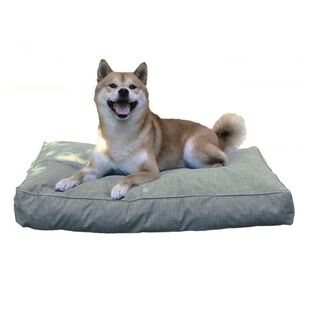 Petplus Colchón para perros Salud color gris
