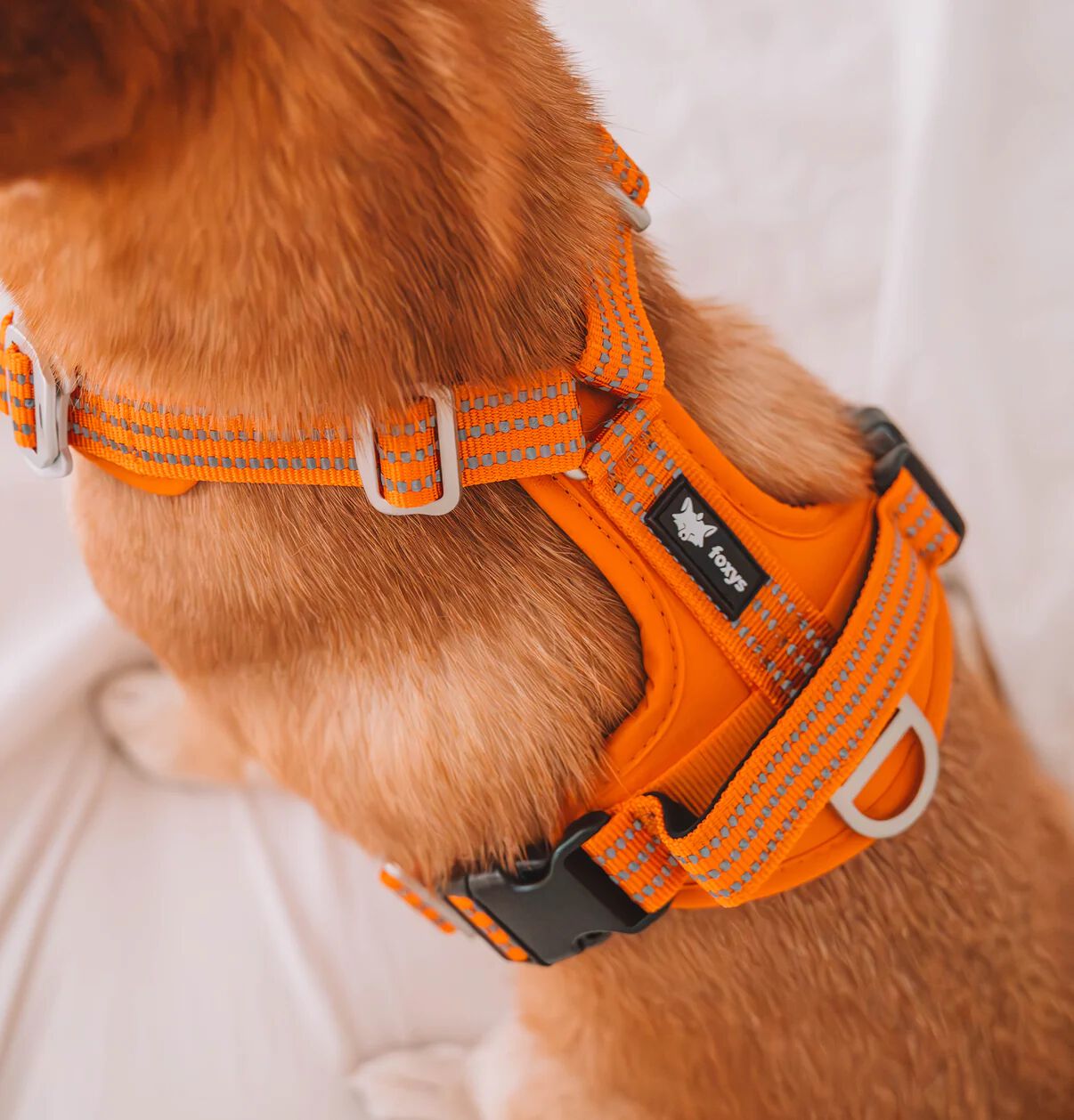 Arn&eacute;s CountryFox&trade; Pro &bull; Naranja, , large Imagen numero 3