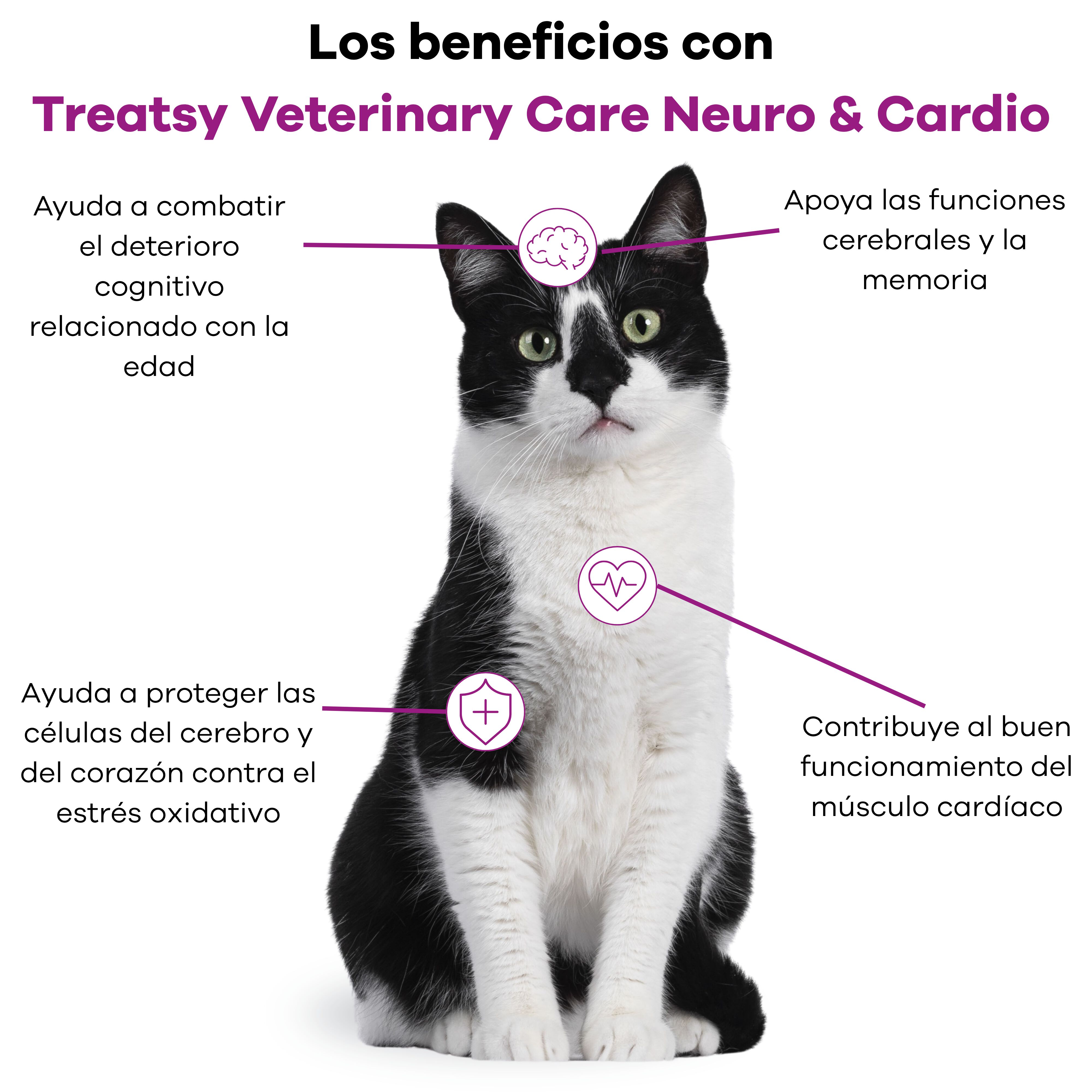 Treatsy Neuro & Cardio Perro y Gato &ndash; Complemento Veterinario Coraz&oacute;n y Cerebro &ndash; Taurina, L-Carnitina, Omega-3 EPA DHA, Vitamina E &ndash; 90 Snacks, , large Imagen numero 4
