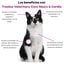 Treatsy Neuro & Cardio Perro y Gato &ndash; Complemento Veterinario Coraz&oacute;n y Cerebro &ndash; Taurina, L-Carnitina, Omega-3 EPA DHA, Vitamina E &ndash; 90 Snacks, , large indicador imagen numero 4