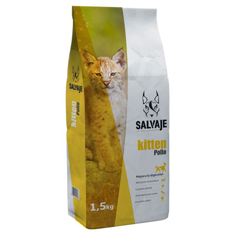 Salvaje Kitten pollo comida para gatos junior image number null