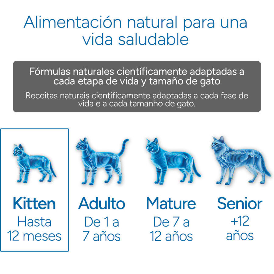 Criadores Cient&iacute;fico Kitten pollo pienso para gatitos, , large Imagen numero 11