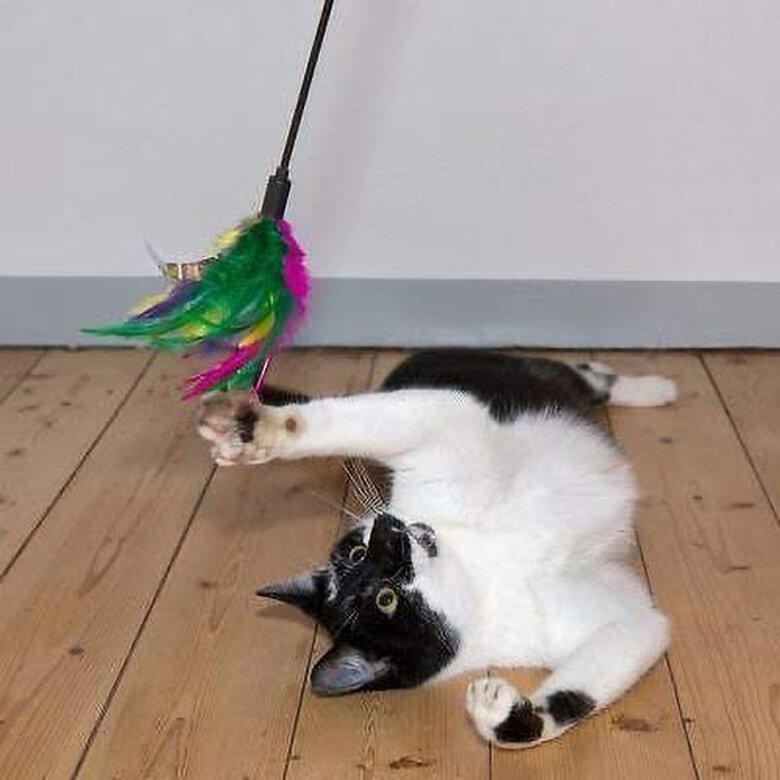 Caña juguete con pluma Feath ´R´ Stick para gatos color Variado, , large image number null