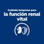Hill's Prescription Diet Kidney Care k/d Early Stage pienso para perros, , large indicador imagen numero 5