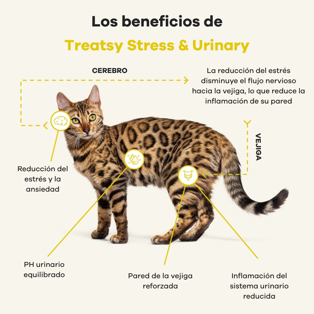 Treatsy Estr&eacute;s & Urinario Gato &ndash; Complemento Veterinario Antiestres y Cistitis Idiop&aacute;tica Felina &ndash; L-Tript&oacute;fano, Omega-3, N-Acetil-D-Glucosamina &ndash; 90 Snacks Blandos, , large Imagen numero 2