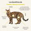 Treatsy Estr&eacute;s & Urinario Gato &ndash; Complemento Veterinario Antiestres y Cistitis Idiop&aacute;tica Felina &ndash; L-Tript&oacute;fano, Omega-3, N-Acetil-D-Glucosamina &ndash; 90 Snacks Blandos, , large indicador imagen numero 2