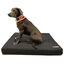 Colchón ortopédico para perros, , large indicador imagen numero 2