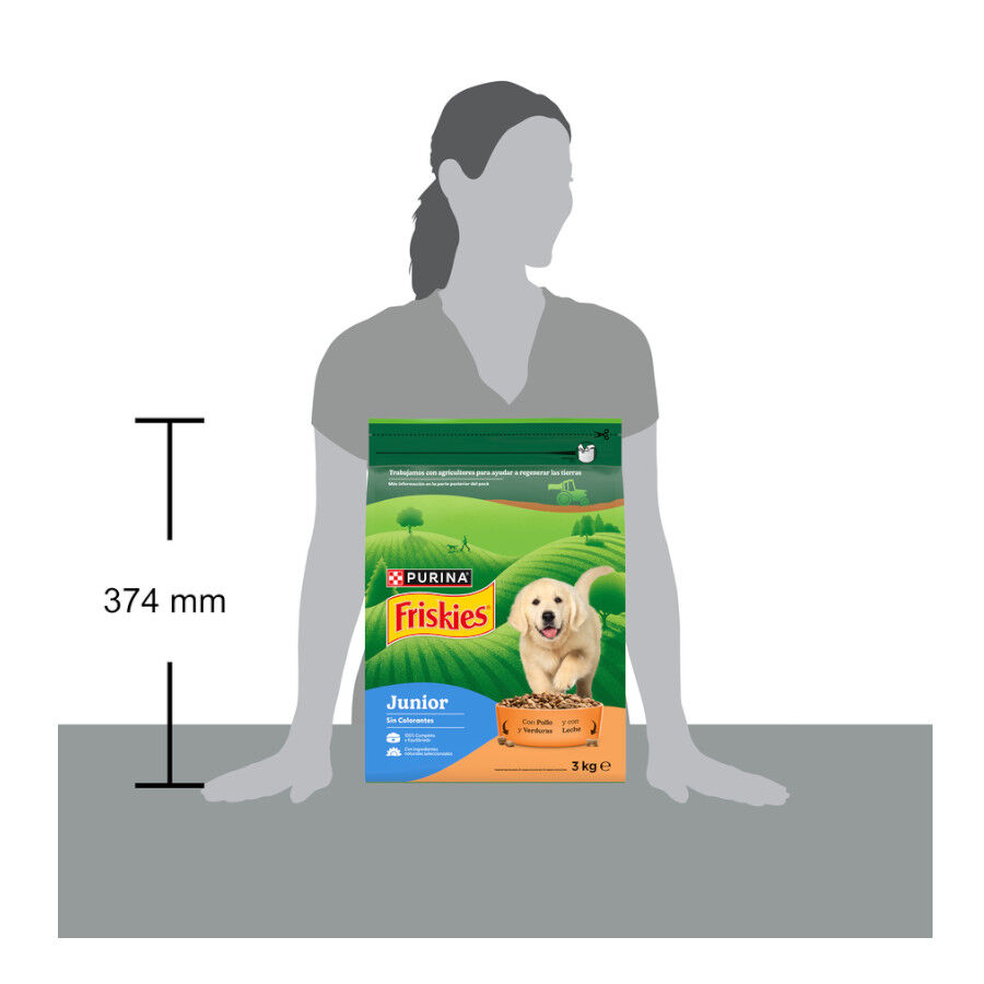 3 kg Friskies Junior Pollo y Verduras pienso para perros, , large Imagen numero 7