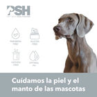 PSH Seborrhea Specific Champú Espuma para perros y gatos, , large image number null