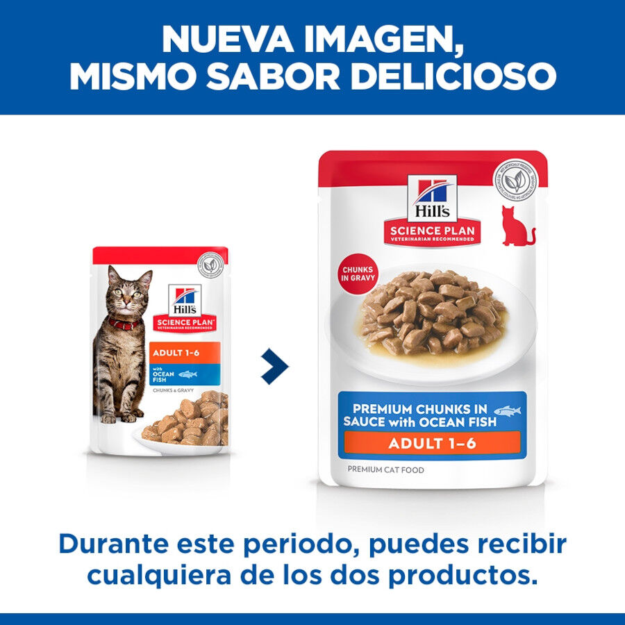 85 g Hill's Science Plan Adult Pescado sobre para gatos, , large Imagen numero 2