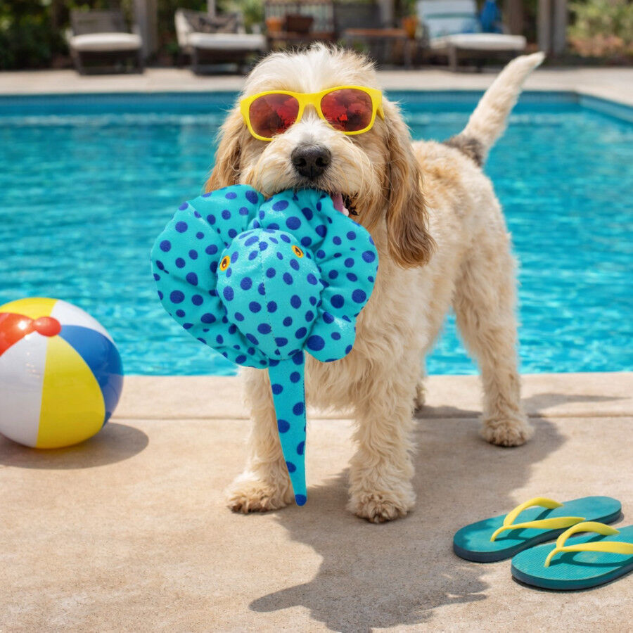 Summer Vibes Mantarraya Peluche  para perros, , large Imagen numero 1