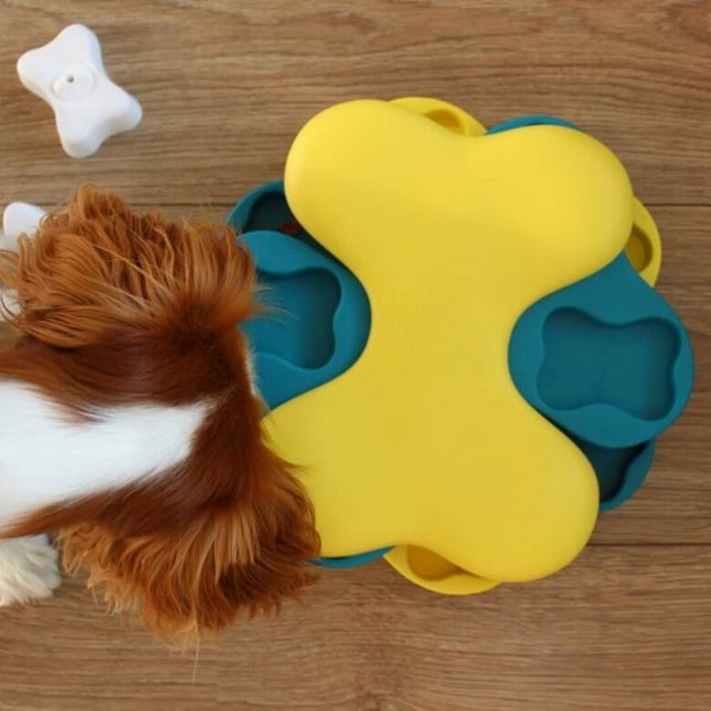 Juguete rompecabezas giratorio para perros thumbnail