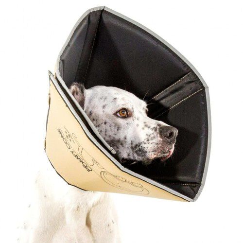 Collar m&eacute;dico para mascotas color Beige, , large Imagen numero 19