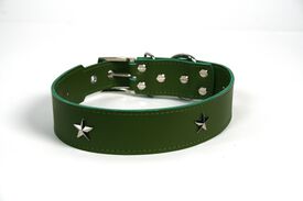 LGMCAN Collar de Piel verde con estrella para perros