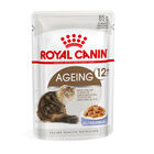 Royal Canin Ageing 12+ gelatina sobres para gatos, , large image number null