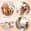 Nobleza - Snacks para Perros - Palitos de Piel de Vacuno Enrollados de Pollo - Chuches Natural para Perros - Golosinas para Perro - Premios y Recompensas para Perros - L12.5 cm, 6 bolsas x 120 gr, , large indicador imagen numero 5
