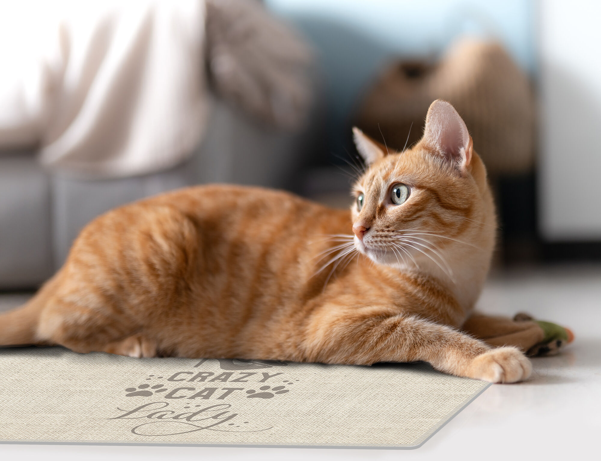 VINILIKO, alfombra de vinilo mascotas, Crazy cat lady 48x75 cm, , large Imagen numero 2