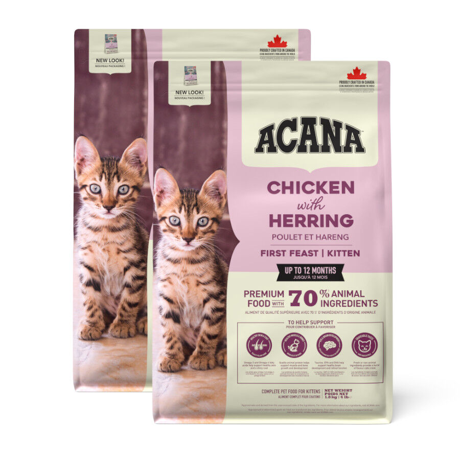 Acana First Feast pienso para gatitos