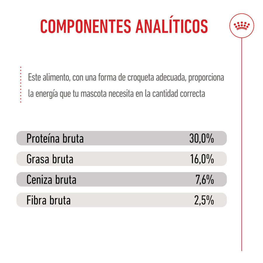 Royal Canin Puppy Maxi pienso para perros thumbnail