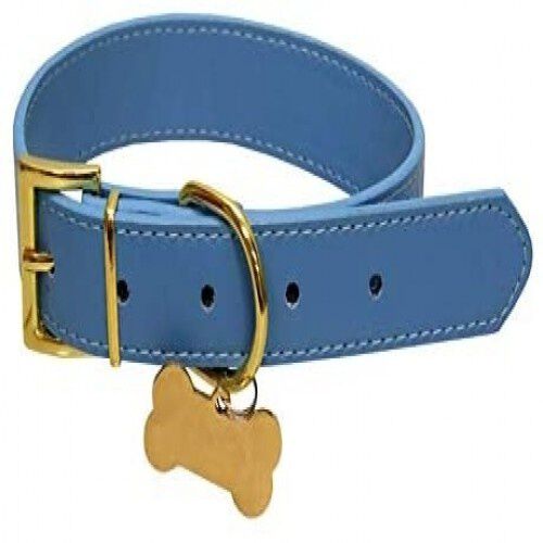 Collar con chapa Identificativa Max color Azul, , large Imagen numero 1