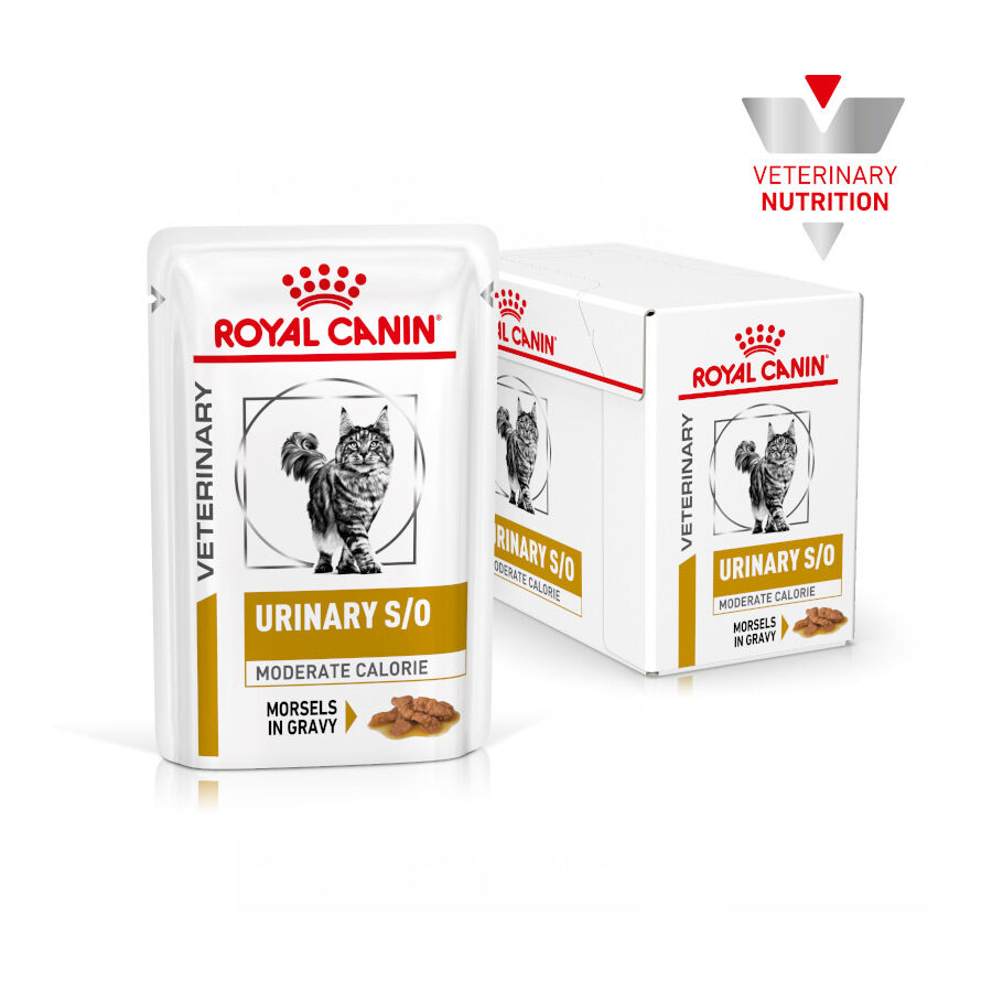 Royal Canin Veterinary Urinary Moderate Calorie sobres para gatos thumbnail