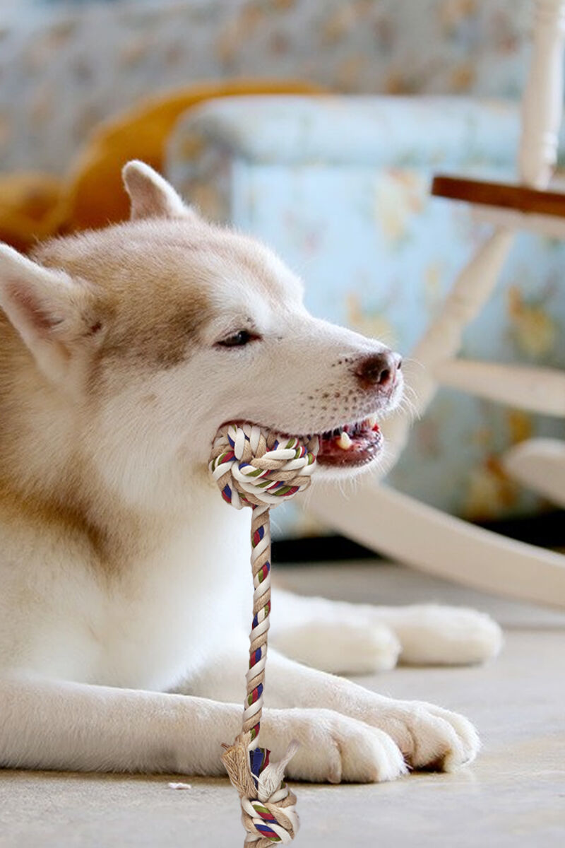 FOFOS | Cuerda con Pelota - Para Perro, , large Imagen numero 2