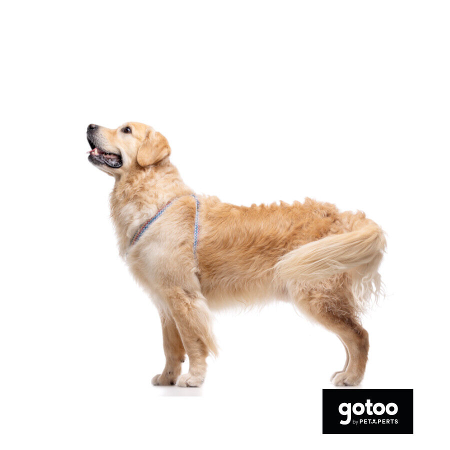 Gotoo Arn&eacute;s rayas zig- zag para perros, , large Imagen numero 4