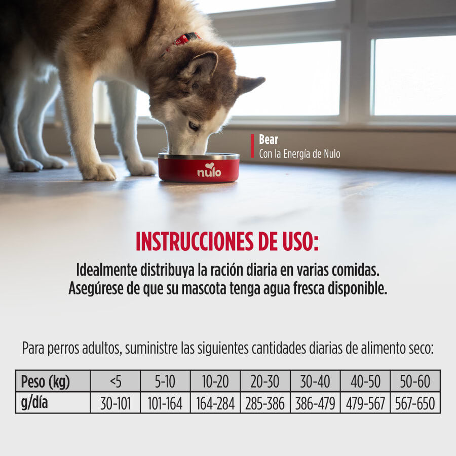 10 kg Nulo Baked Coated Cordero con Cerdo y Ternera Pienso para perros, , large Imagen numero 2