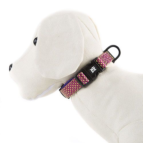 TK-Pet Neo Design collar morado nylon y neopreno Imagen numero 1