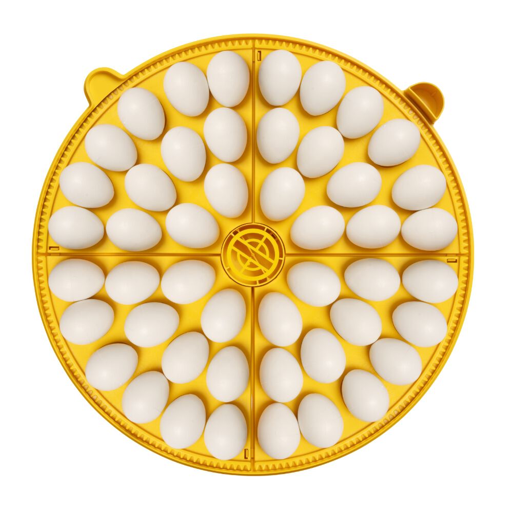 Incubadora Brinsea MAXI 48 Connect - Control Remoto desde el M&oacute;vil, Programaci&oacute;n Digital de Temperatura, Humedad y Volteo, Enfriamiento de Huevos y Cuenta Atr&aacute;s para Eclosi&oacute;n, , large Imagen numero 5