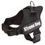 Arnés Xtreme para perros color Negro, , large indicador imagen numero 1