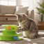 Tootoy! Torre de Pelotas interactivas para gatos, , large indicador imagen numero 1