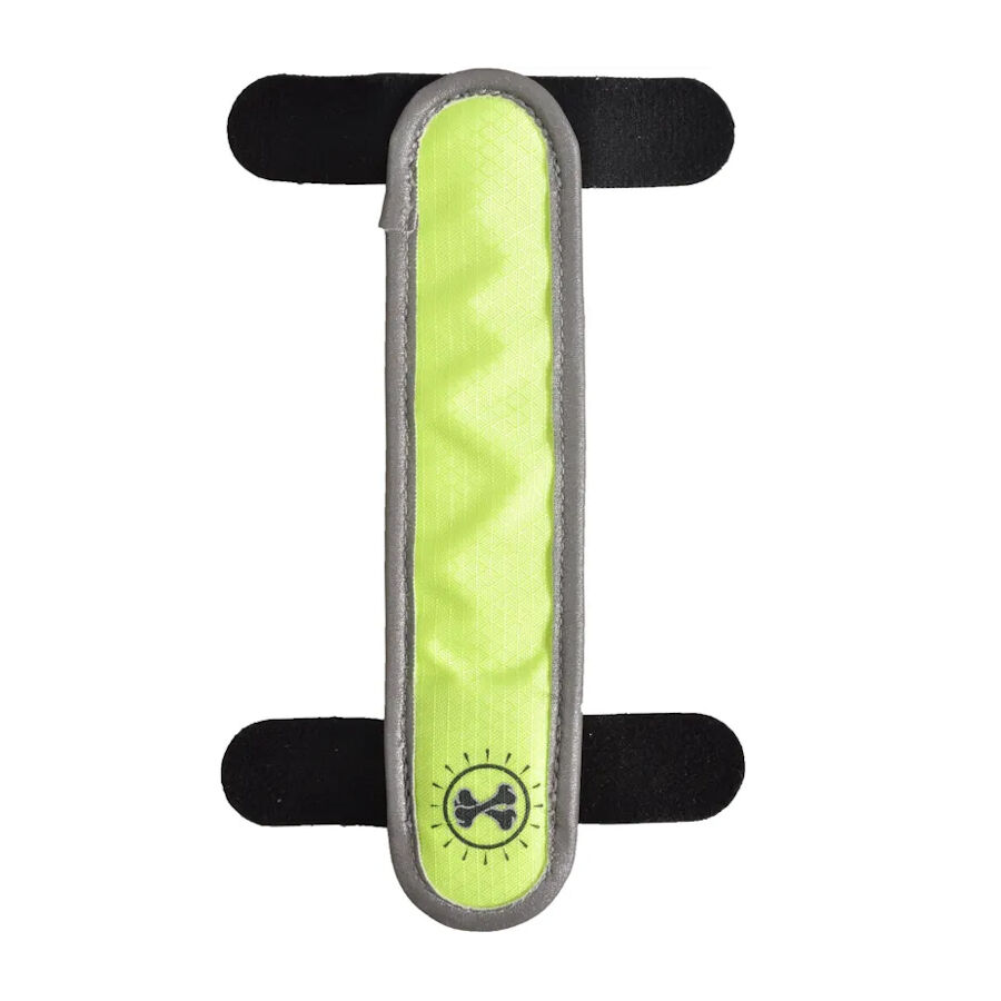 Flamingo Banda de Seguridad con luz led para perros, , large Imagen numero 1